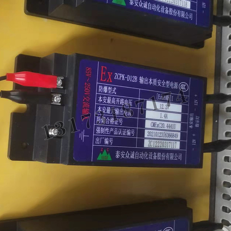 泰安眾誠ZCPK-D12B輸出本質(zhì)**型電源-1.jpg